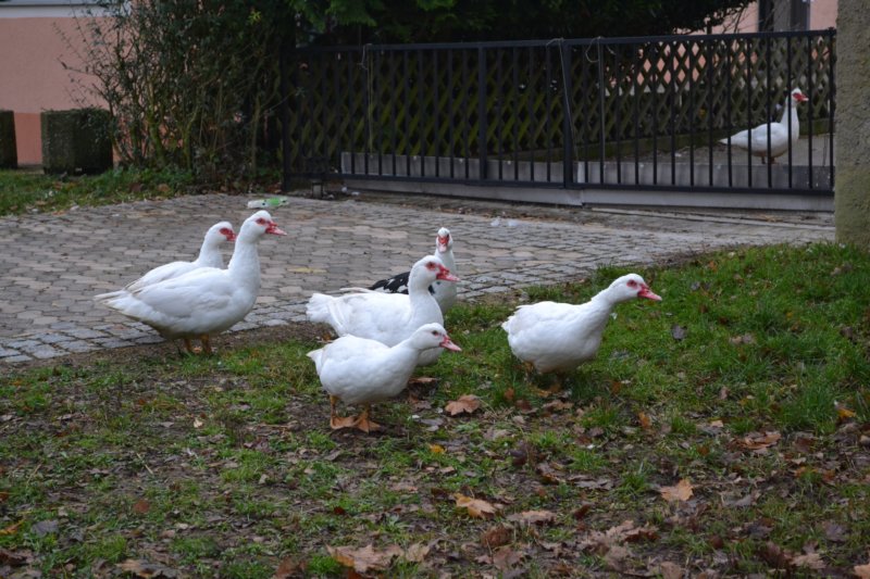 photo30.jpg
