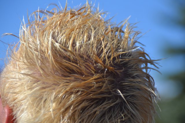 photo94.jpg