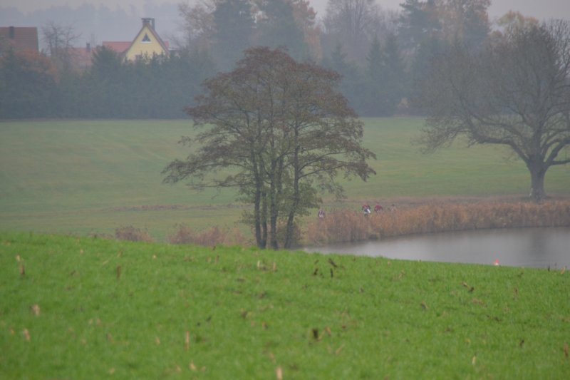 photo33.jpg