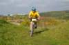photo203_small.jpg