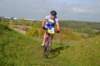 photo266_small.jpg