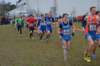 photo912_small.jpg