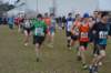 photo917_small.jpg
