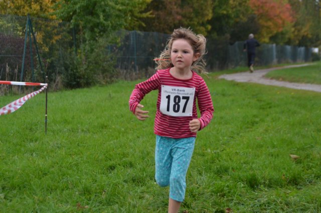 photo37.jpg