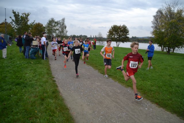photo45.jpg