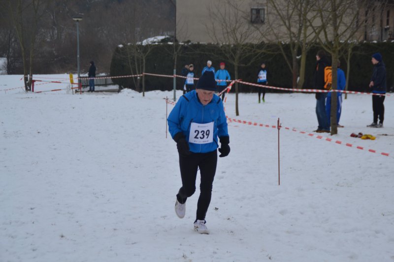 photo415.jpg